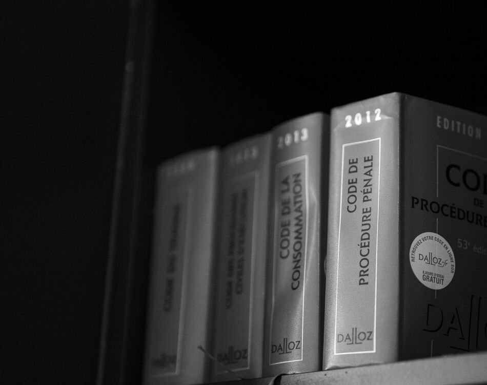 karine-de-luca-livre-angle